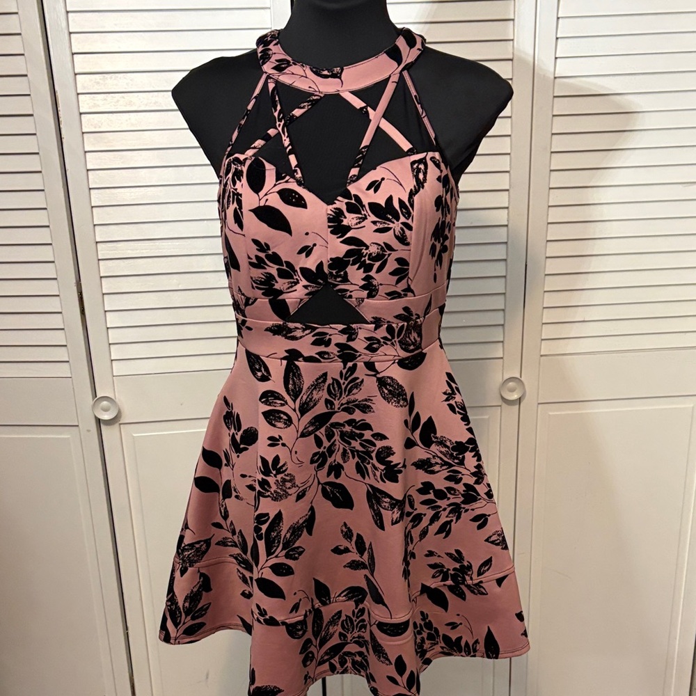 Emerald Sundae Pink and Black Floral Dress